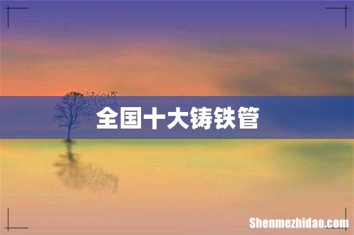 全国十大铸铁管