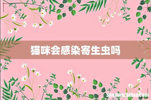 猫咪会感染寄生虫吗