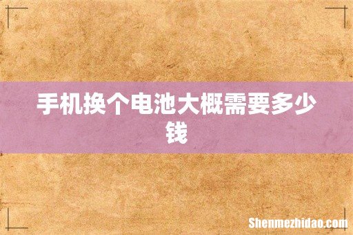 手机换个电池大概需要多少钱