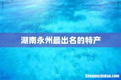 湖南永州最出名的特产