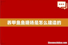 养甲鱼鱼塘场是怎么建造的