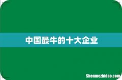 中国最牛的十大企业
