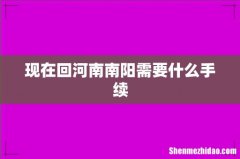 现在回河南南阳需要什么手续