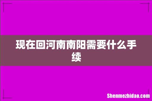 现在回河南南阳需要什么手续