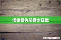 汤淼复仇总裁太狂傲