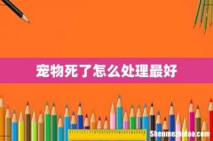 宠物死了怎么处理最好