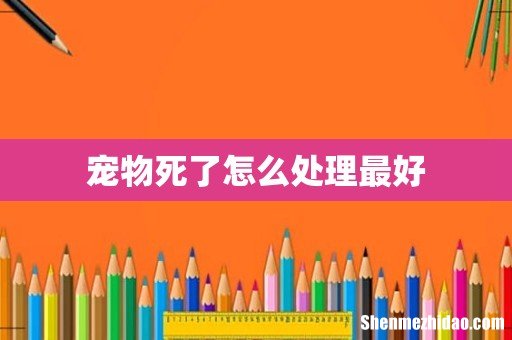 宠物死了怎么处理最好