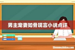 男主宠妻如骨现言小说点评