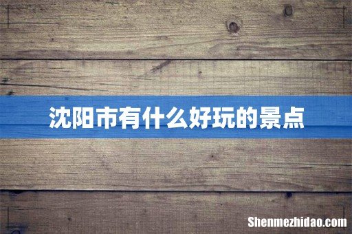 沈阳市有什么好玩的景点