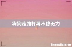 狗狗走路打晃不稳无力