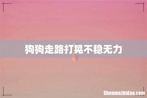狗狗走路打晃不稳无力