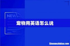 宠物用英语怎么说