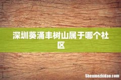 深圳葵涌丰树山属于哪个社区