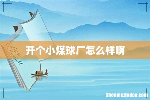 开个小煤球厂怎么样啊
