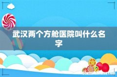 武汉两个方舱医院叫什么名字