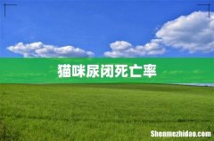 猫咪尿闭死亡率