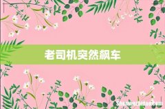 老司机突然飙车