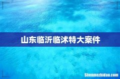 山东临沂临沭特大案件