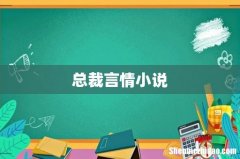 总裁言情小说