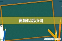 离婚以后小说