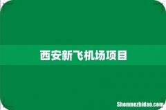 西安新飞机场项目