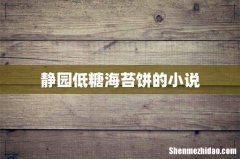 静园低糖海苔饼的小说