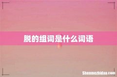 脱的组词是什么词语
