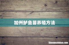 加州鲈鱼苗养殖方法