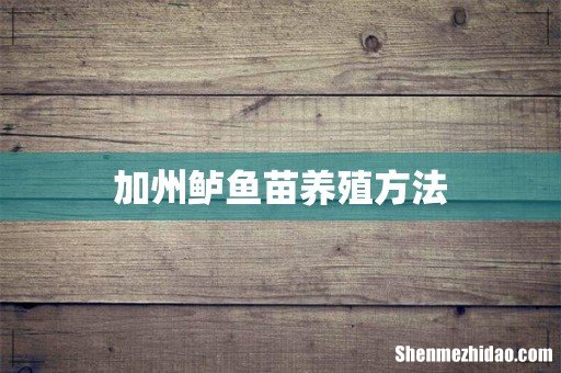 加州鲈鱼苗养殖方法