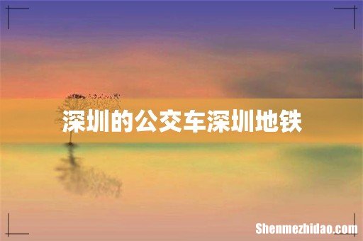 深圳的公交车深圳地铁