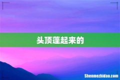 头顶蓬起来的