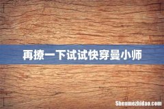 再撩一下试试快穿曼小师