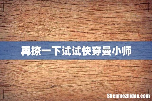 再撩一下试试快穿曼小师