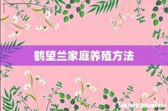 鹤望兰家庭养殖方法