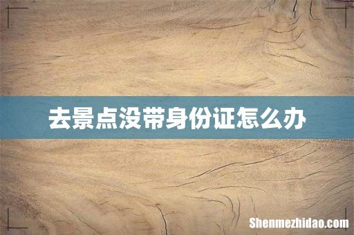 去景点没带身份证怎么办