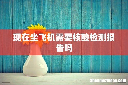 现在坐飞机需要核酸检测报告吗