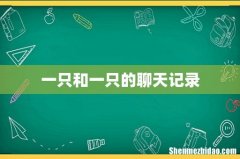 一只和一只的聊天记录