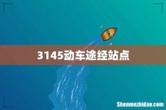 3145动车途经站点
