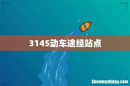 3145动车途经站点