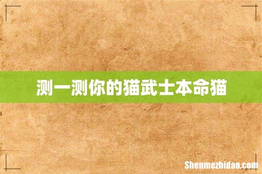 测一测你的猫武士本命猫