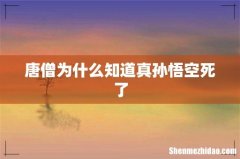 唐僧为什么知道真孙悟空死了