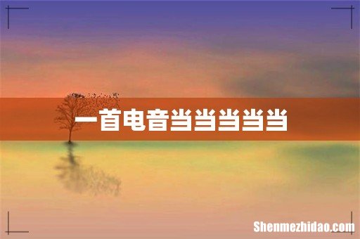 一首电音当当当当当