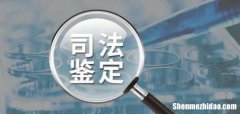 笔迹鉴定摇号怎么摇 笔迹鉴定摇号后的程序