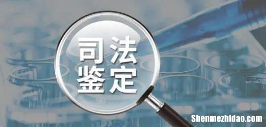 笔迹鉴定摇号怎么摇 笔迹鉴定摇号后的程序