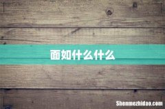 面如什么什么