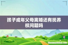 孩子成年父母离婚还有抚养权问题吗