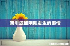 四川成都刚刚发生的事情