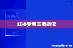 红楼梦宝玉凤姐做