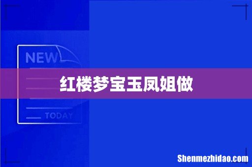 红楼梦宝玉凤姐做