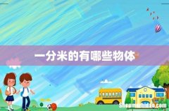 一分米的有哪些物体